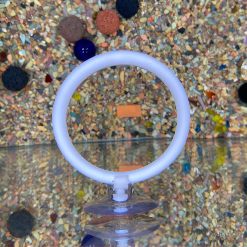 Gymnastic Ring - 1 stks Plastic Aquarium Aquarium Kunstmatige
